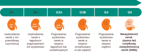 Dieta w przewlekłej niewydolności nerek- stadia choroby